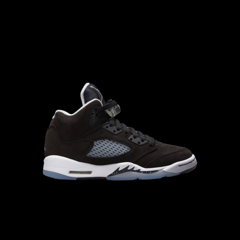 Jordan Jordan 5 Retro Moonlight (2021) (GS)