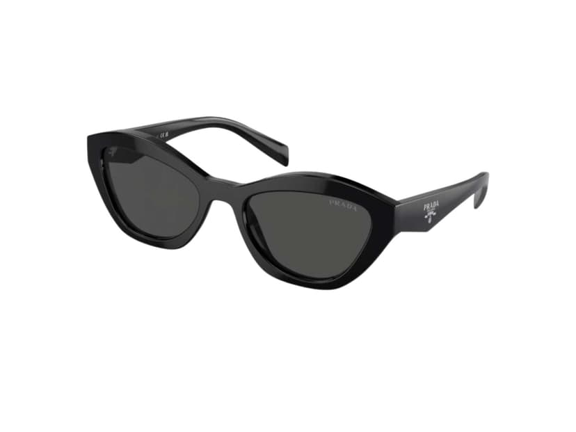 Prada Prada Butterfly Sunglasses Black