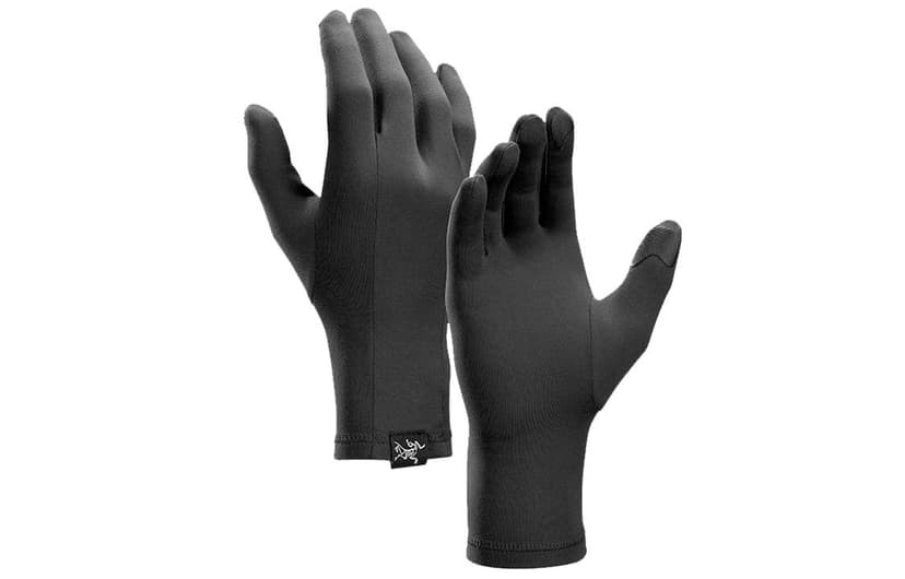 Arcteryx Arcteryx Ski Gloves