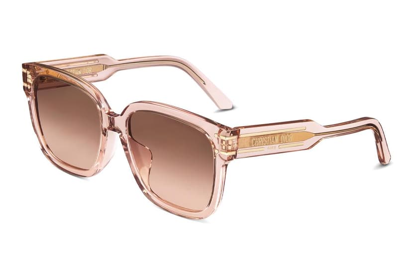 Dior Dior Square Frame Sunglasses