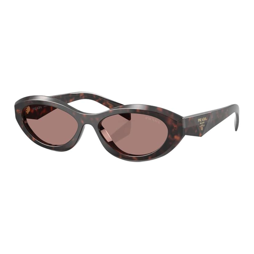 Prada Prada Cat Eye Sunglasses