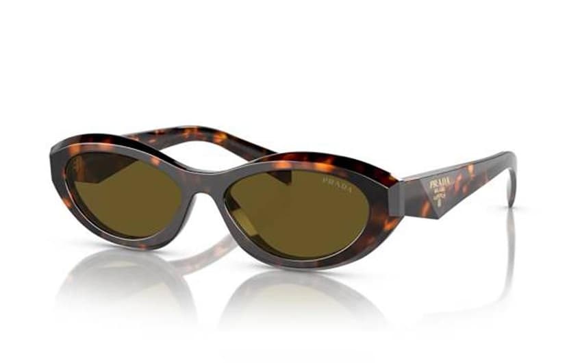 Prada Prada Cat Eye Sunglasses