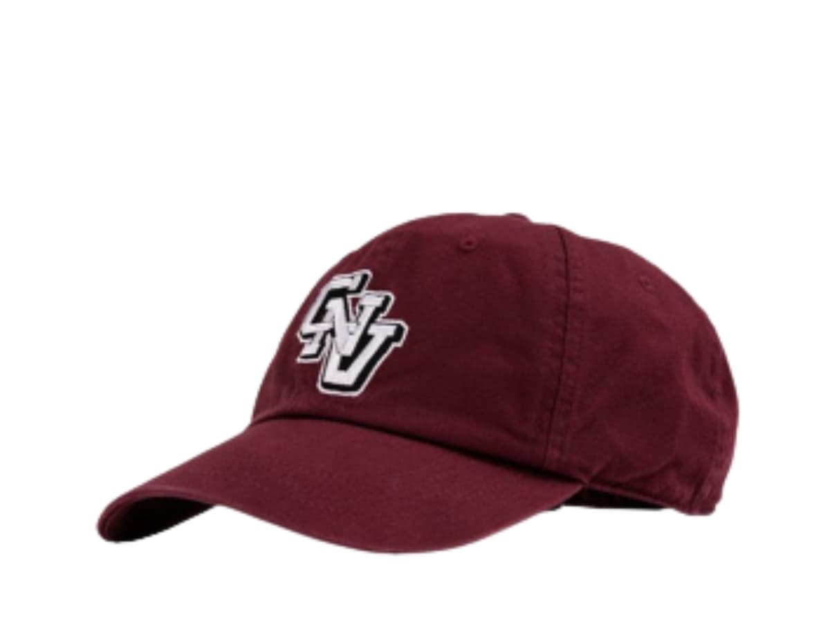 Carnival Baseball Cap Brown