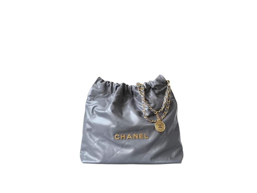 Chanel Chanel 22 Handbag