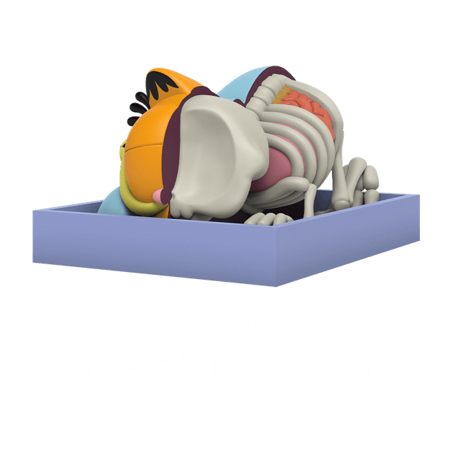 Mighty Jaxx Garfield ft. Jason Freeny Blind Box by Mighty Jaxx (1 PC) - view 8