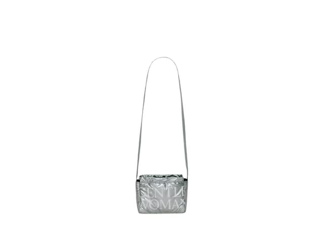 Gentlewoman Gentlewoman Micro Dumpling Silver Starlight - view 2