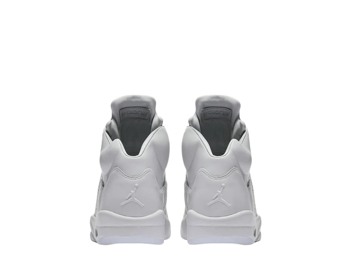 Jordan 5 Retro Pure Platinum