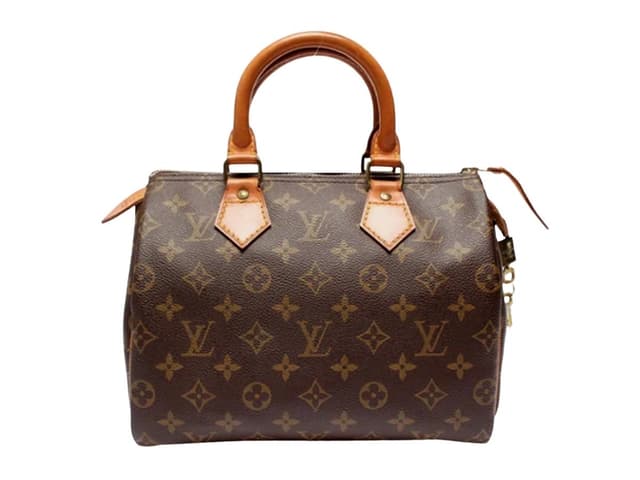 Louis Vuitton Louis Vuitton Speedy 25 Handbag - view 1