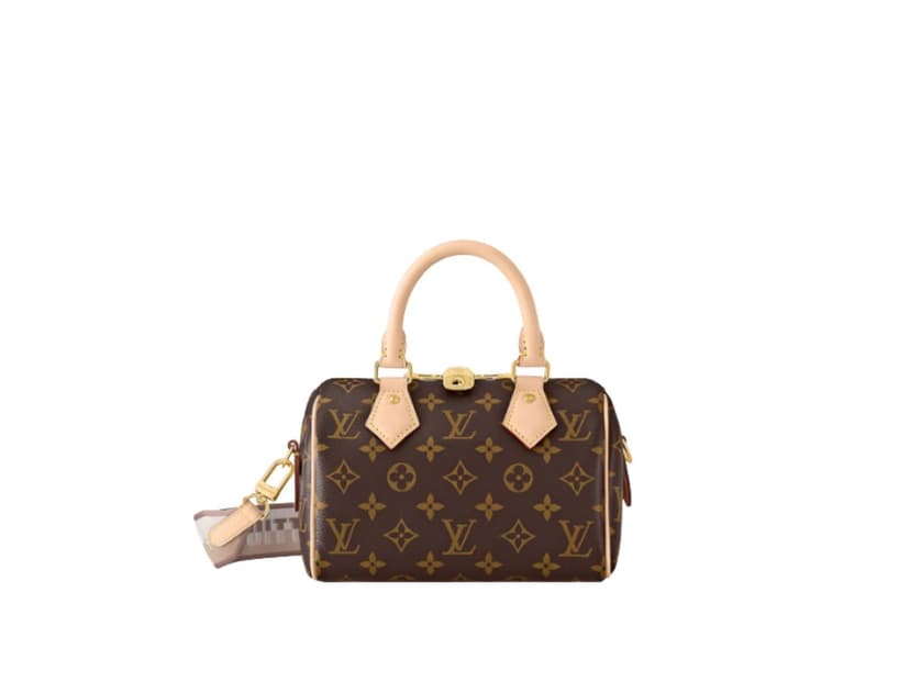 Louis Vuitton Louis Vuitton Speedy 20 Handbag