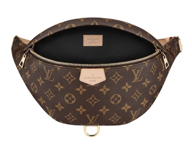 Louis Vuitton Louis Vuitton Bumbag Belt Bag - view 2