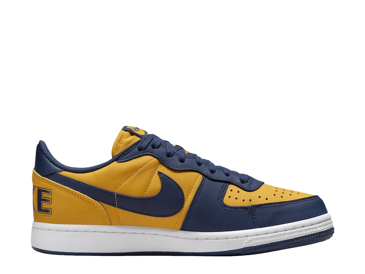 Nike Terminator Low Michigan