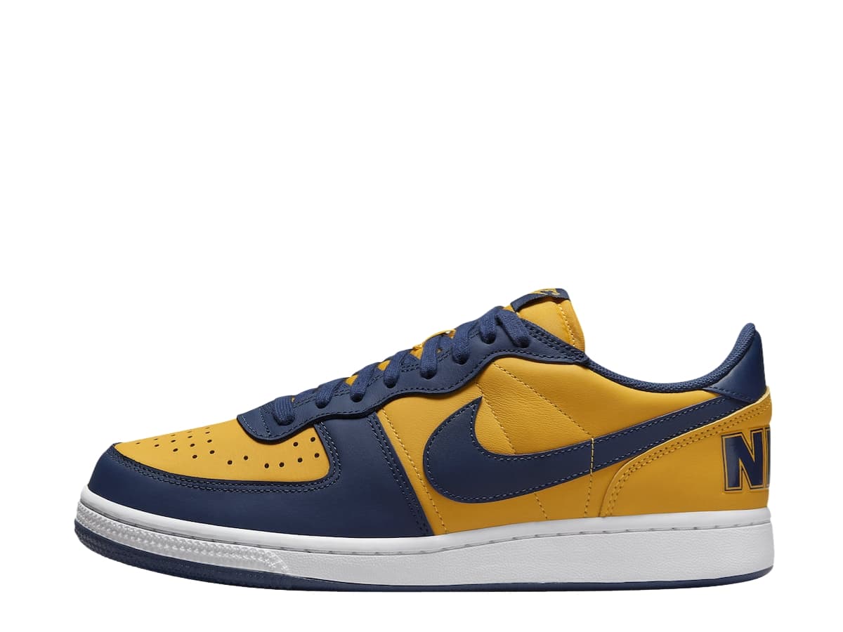 Nike Terminator Low Michigan