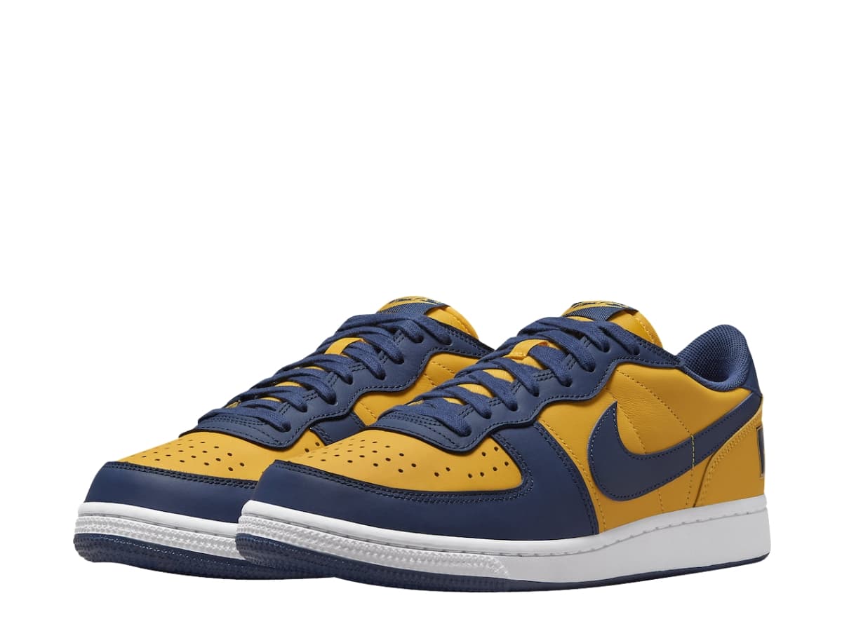 Nike Terminator Low Michigan