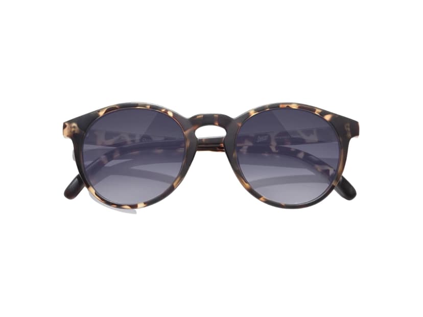 SunSki Sunski Dipsea Tortoise Ocean