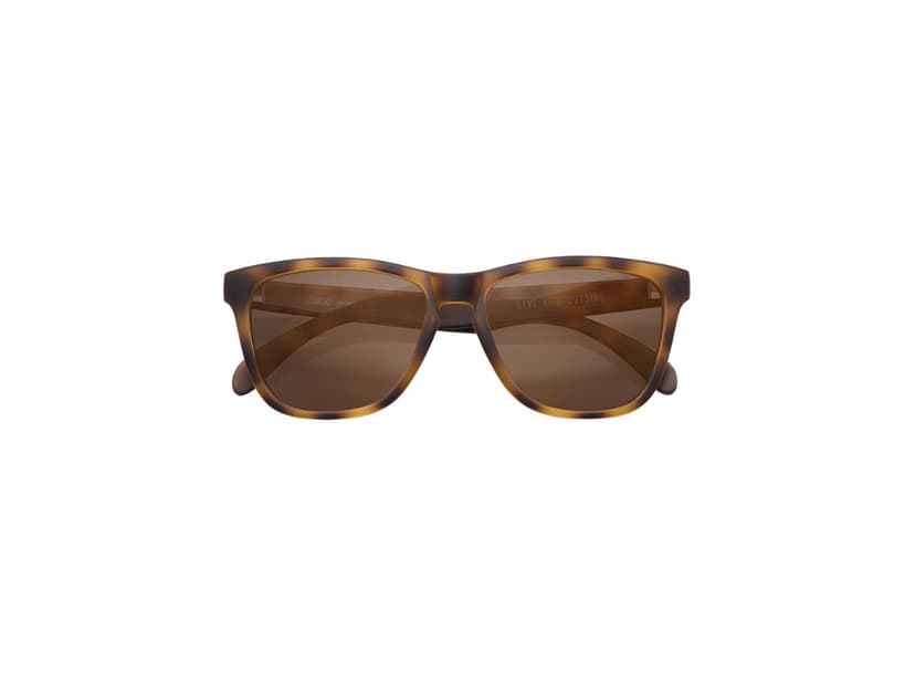 SunSki SunSki Madrona Tortoise Brown