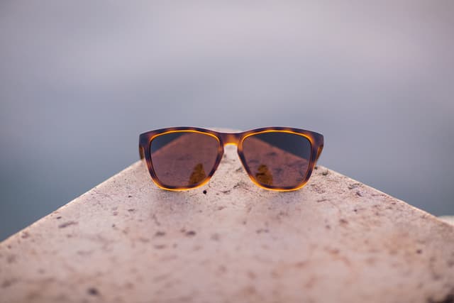 SunSki Sunski Madrona Tortoise Brown - view 5